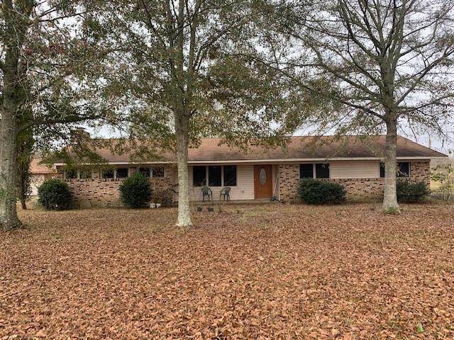 19747 State Rd 52 - Photo 1
