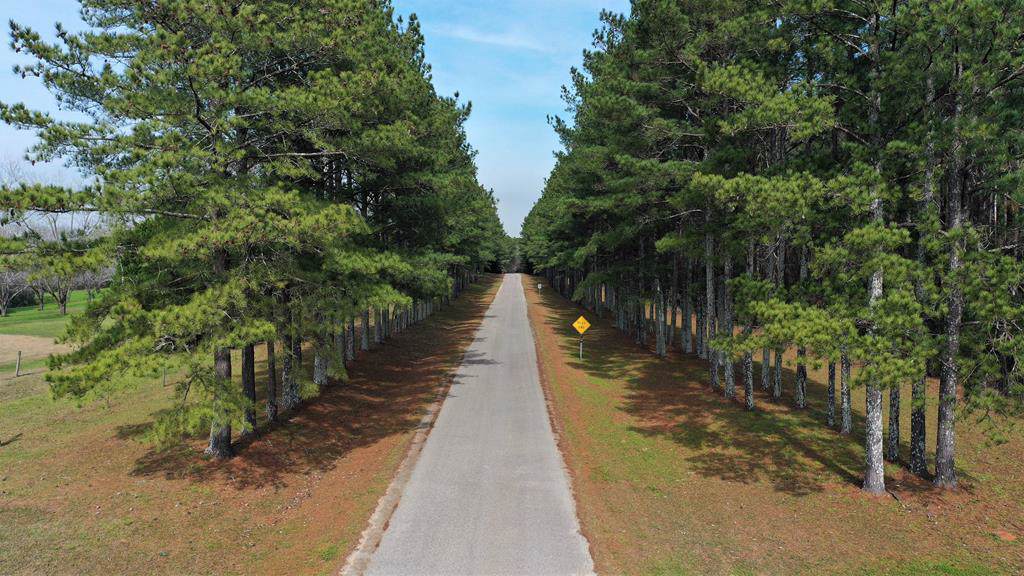 TBD Private Road 1106 - Photo 1