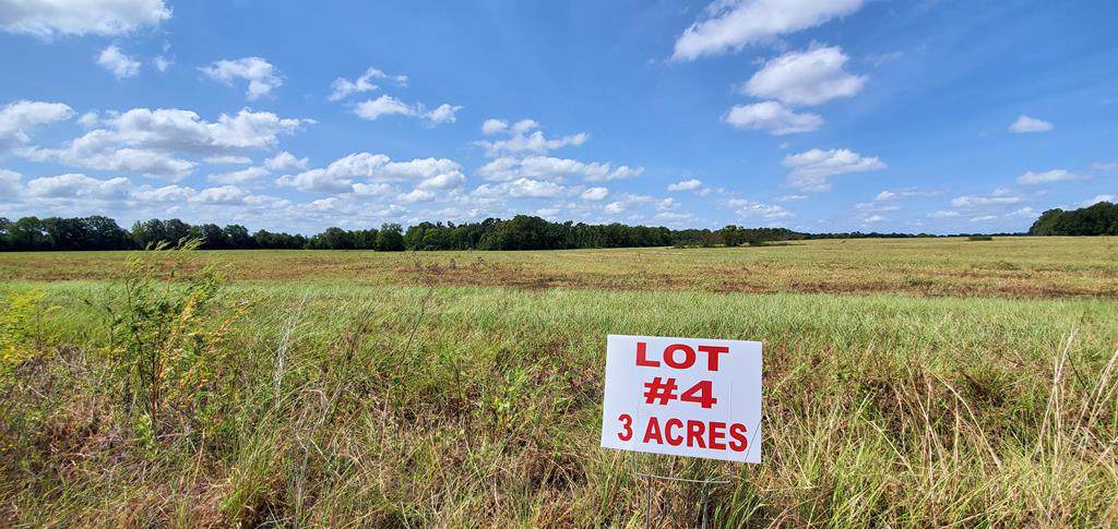 3 Acres Singletary Rd Lot 4 - Photo 1