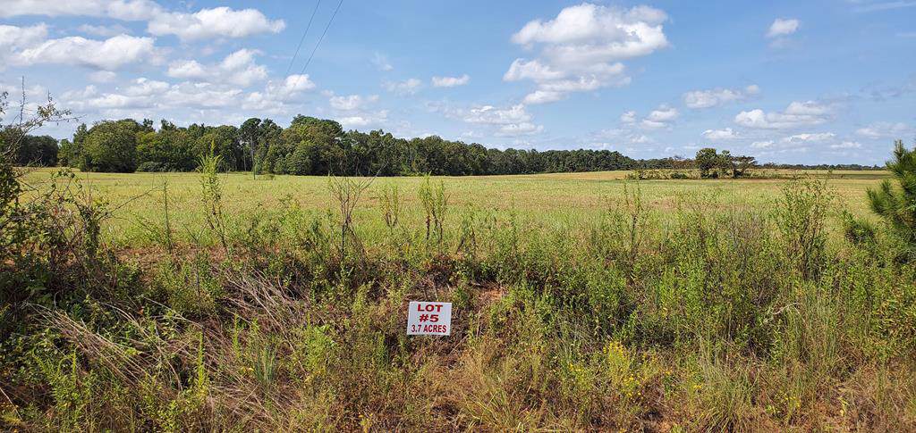 3.7 Acre Singletary Rd Lot 5 - Photo 1