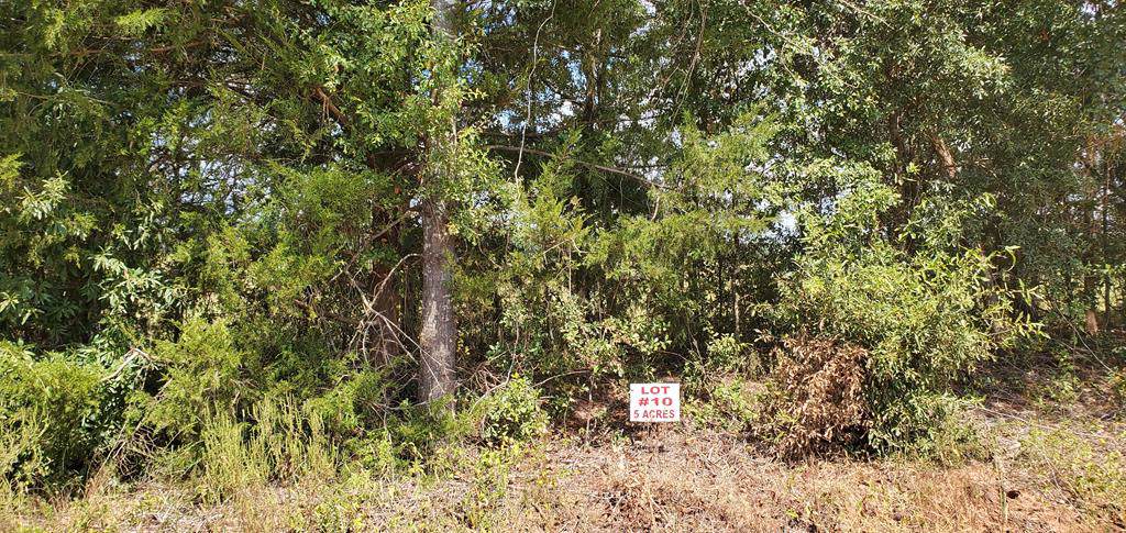5 Acres Ame Rd Lot 10 - Photo 1
