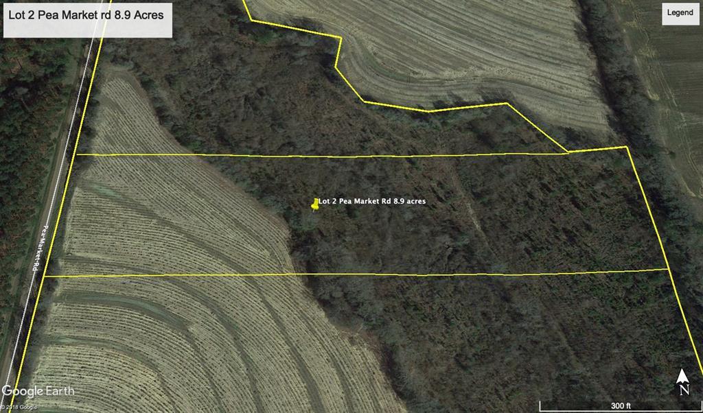 8.9 Acre Pea Market Rd Lot 2 - Photo 1