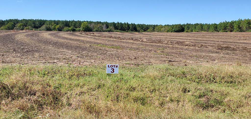 6 Acres Dawsey Rd Lot 3 (Rehobeth School District) - Photo 1