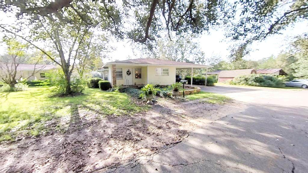 517 Bluff Springs Road - Photo 1