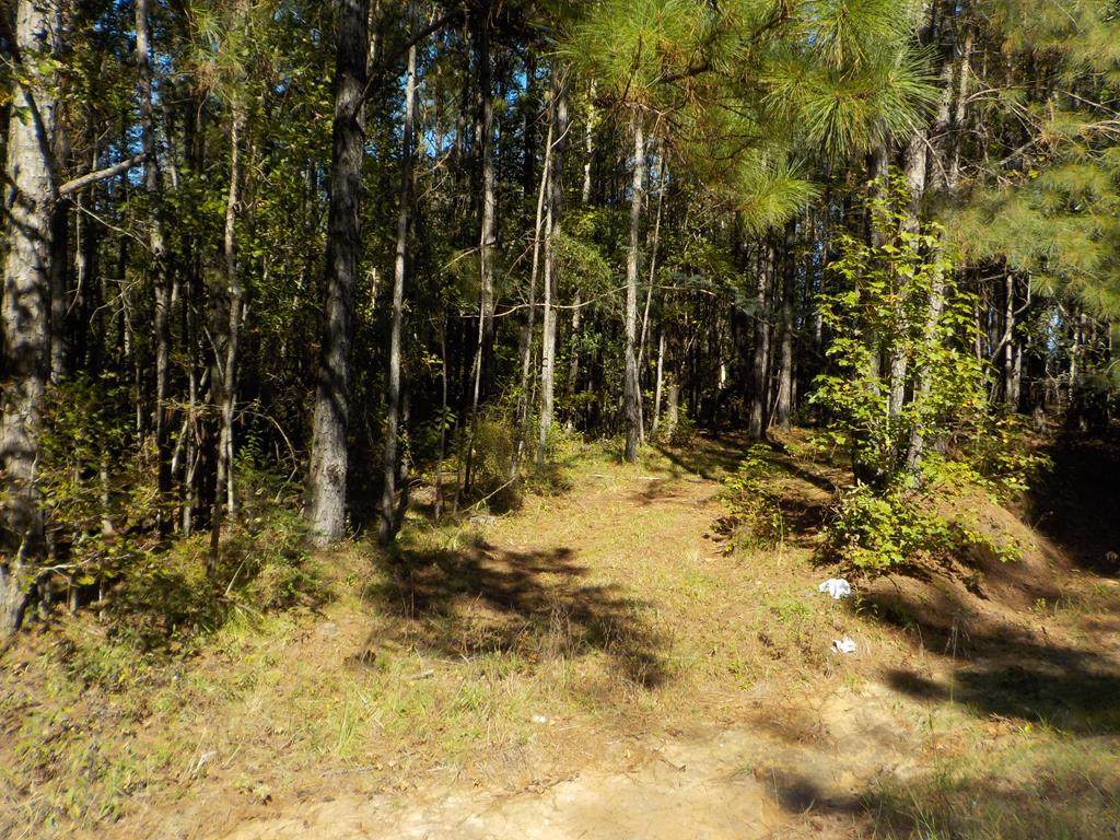 10.8+-ac D Hodge Rd - Photo 1