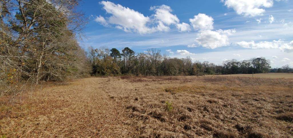 0 Cobb Rd - Photo 1