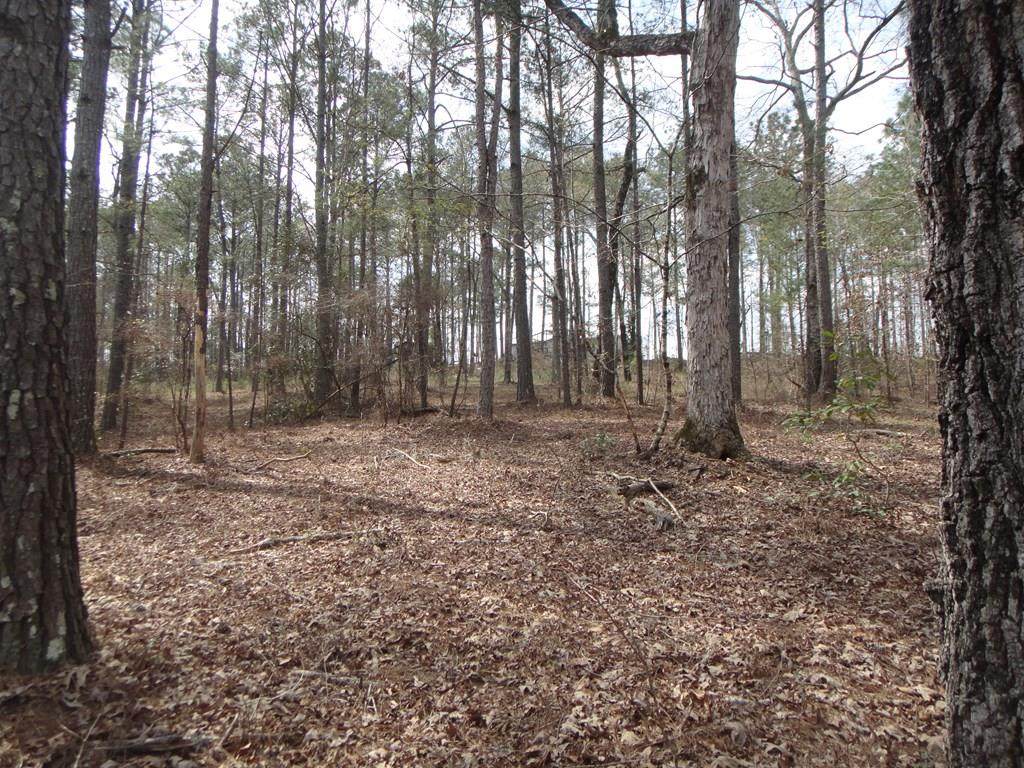 657 Hwy 131 - Photo 1