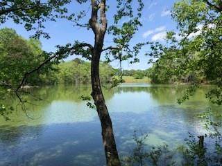 2545 County Road 67 - Photo 1