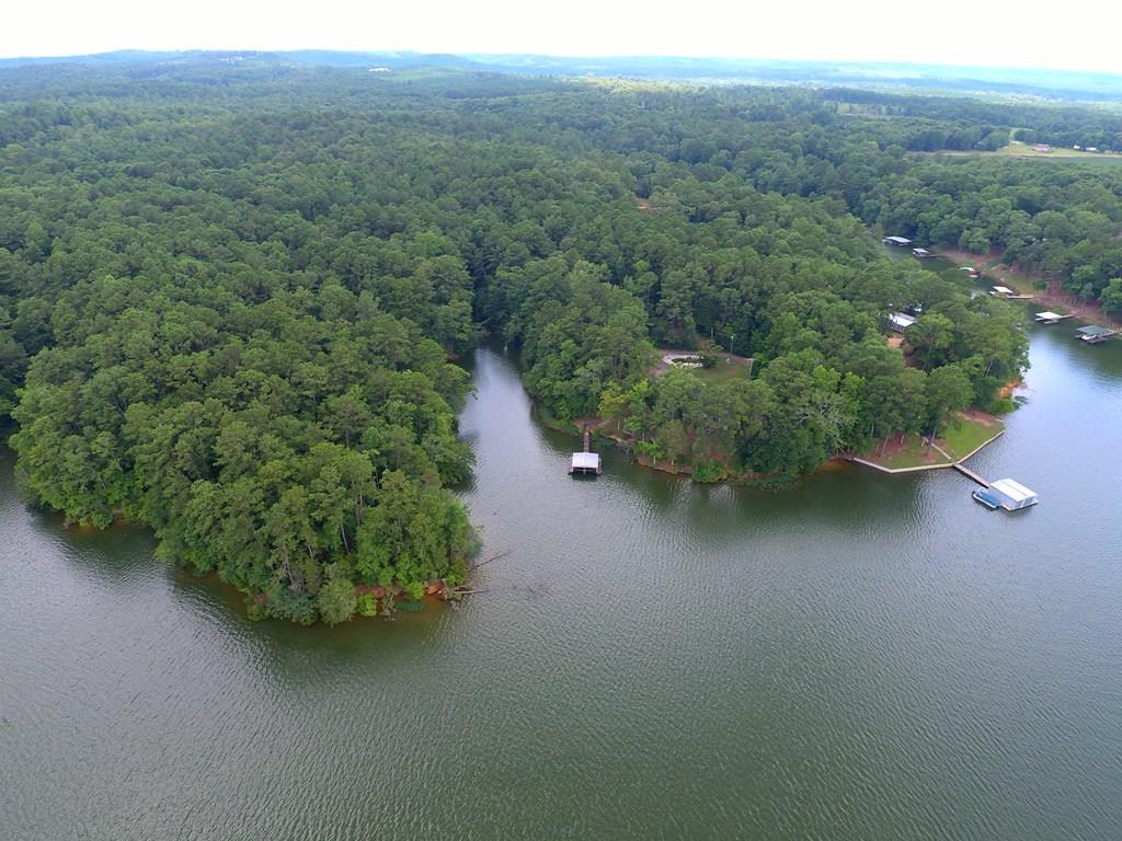 11 Lakepine - Photo 1