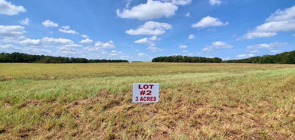 3 Acres Singletary Rd Lot 2 - Photo 1