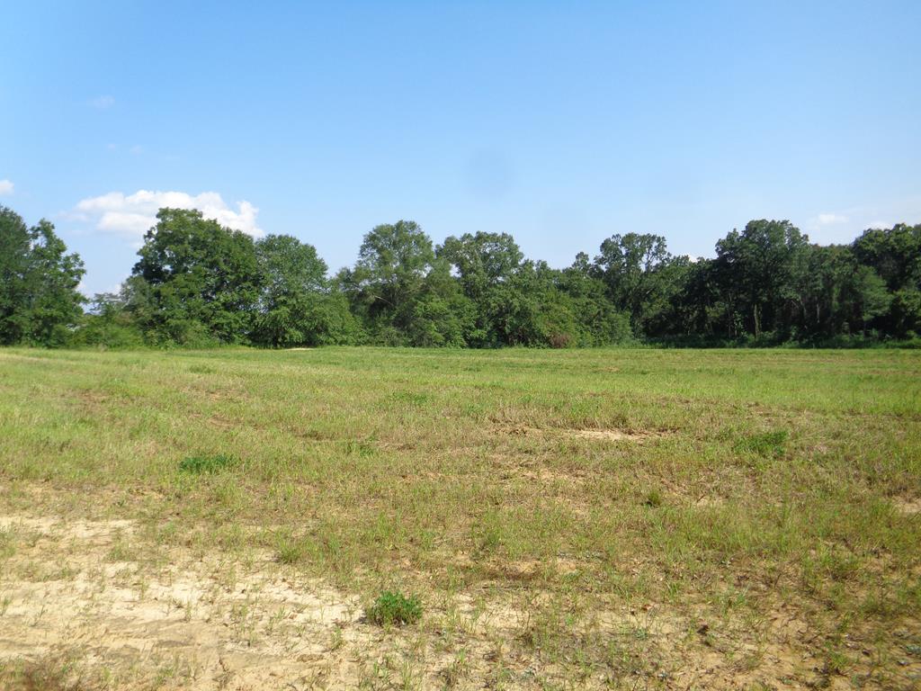 6699 Lot 4, Eddins Rd - Photo 1