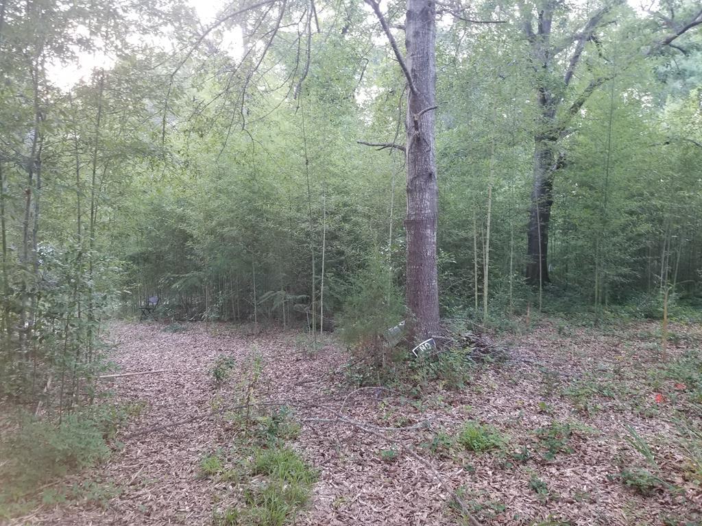 0000 Marley Mill Road - Photo 1