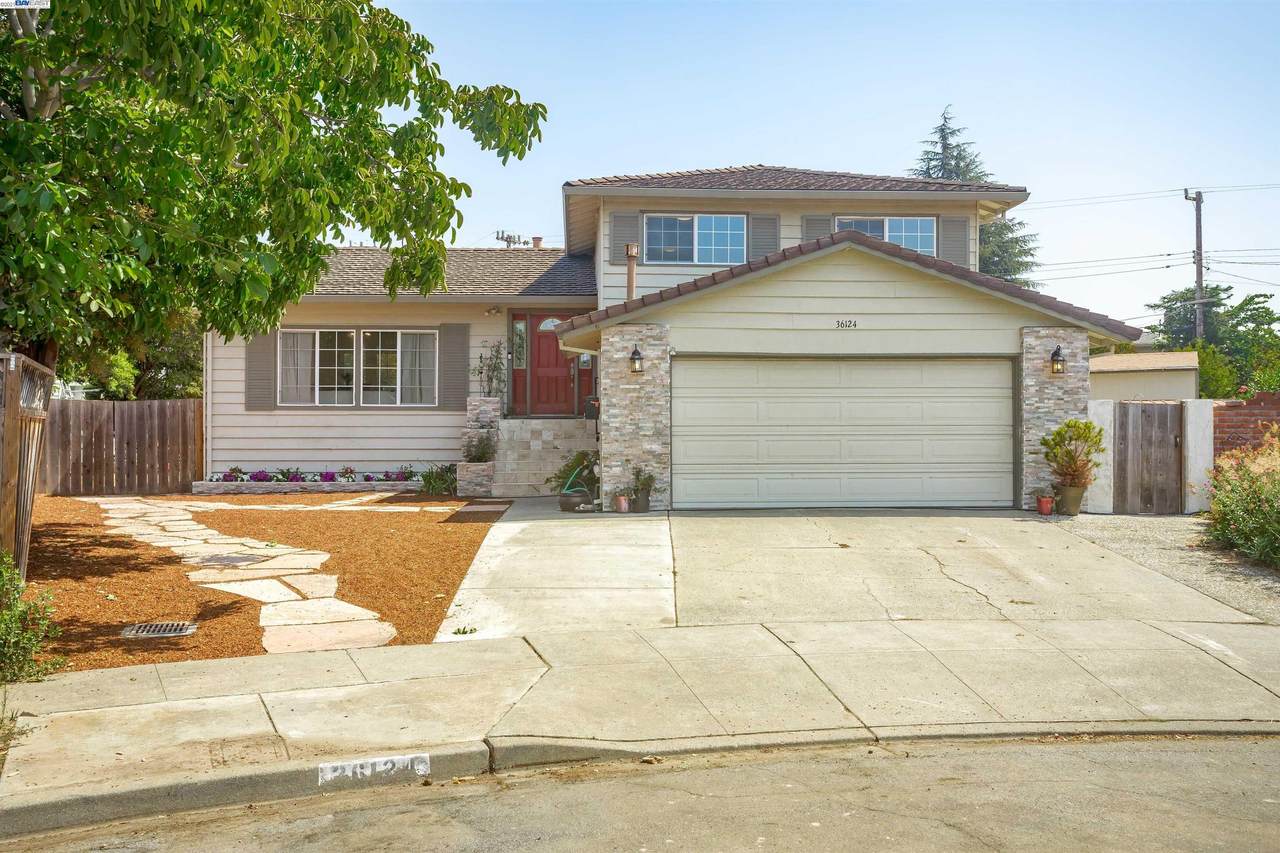 36124 Fanshawe Ct - Photo 1