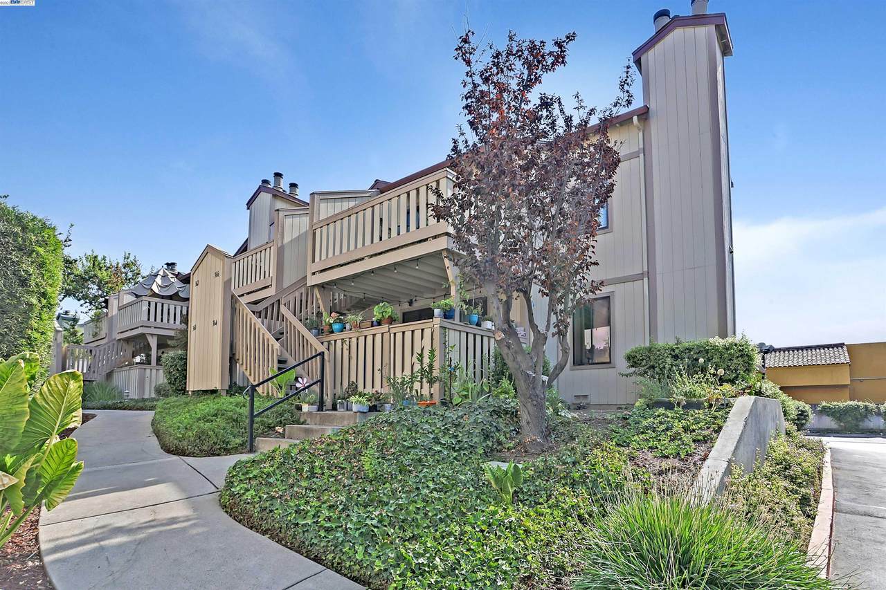 364 Coyote Creek - Photo 1