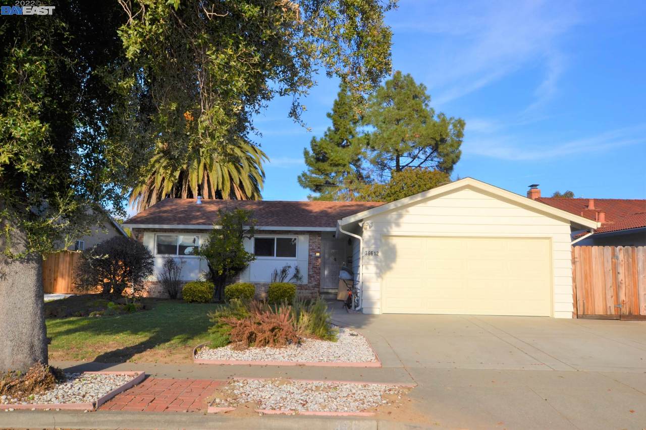 36612 Oak Street - Photo 1
