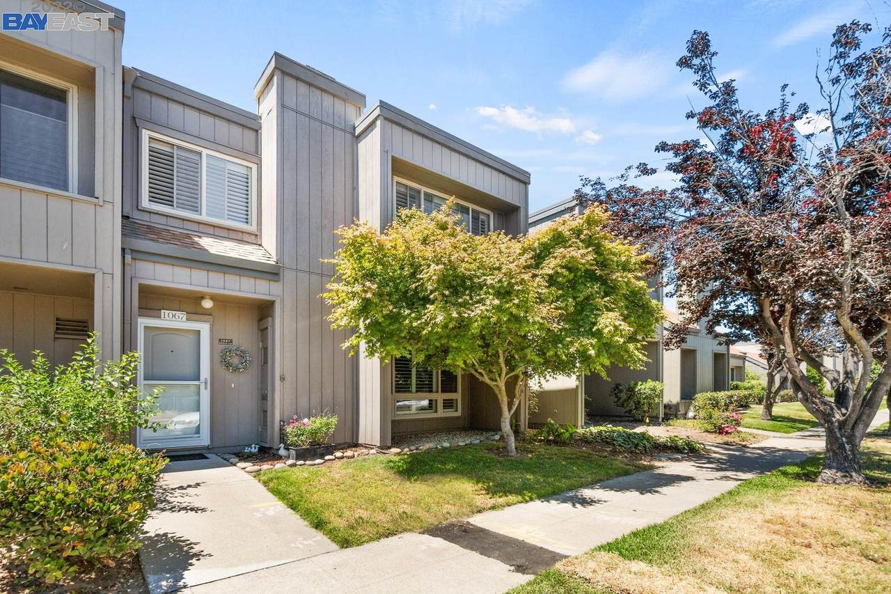 1067 Mangrove Ln - Photo 1