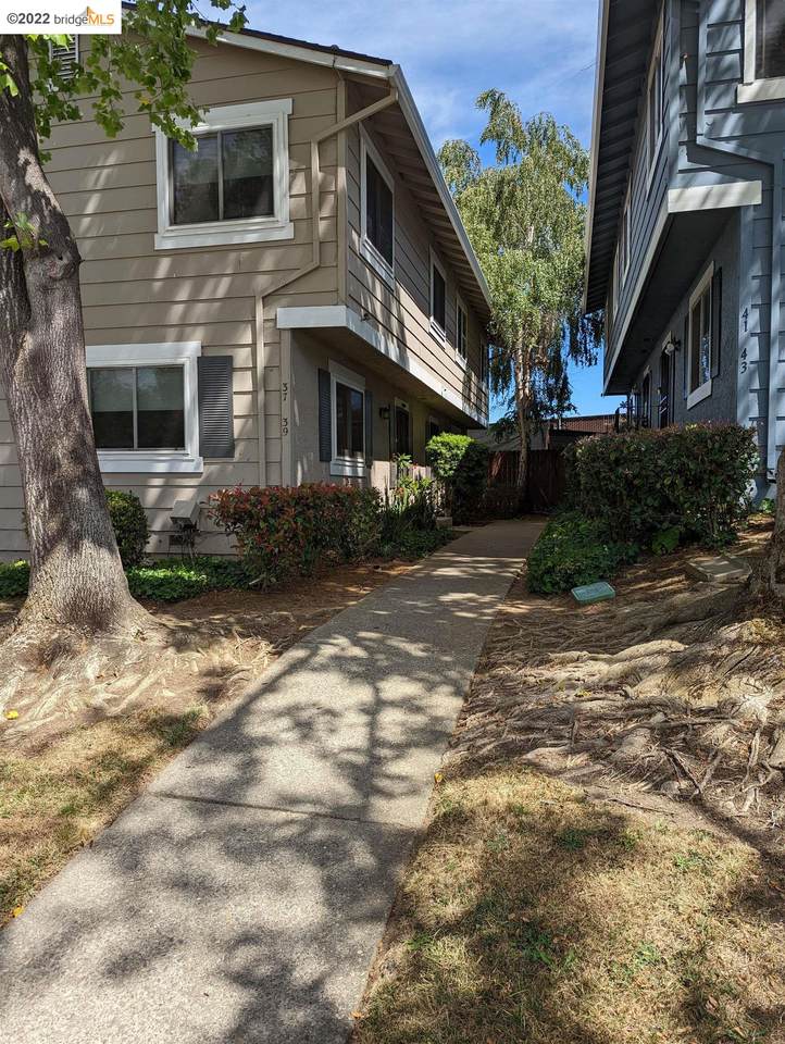 39 Parrott St - Photo 1