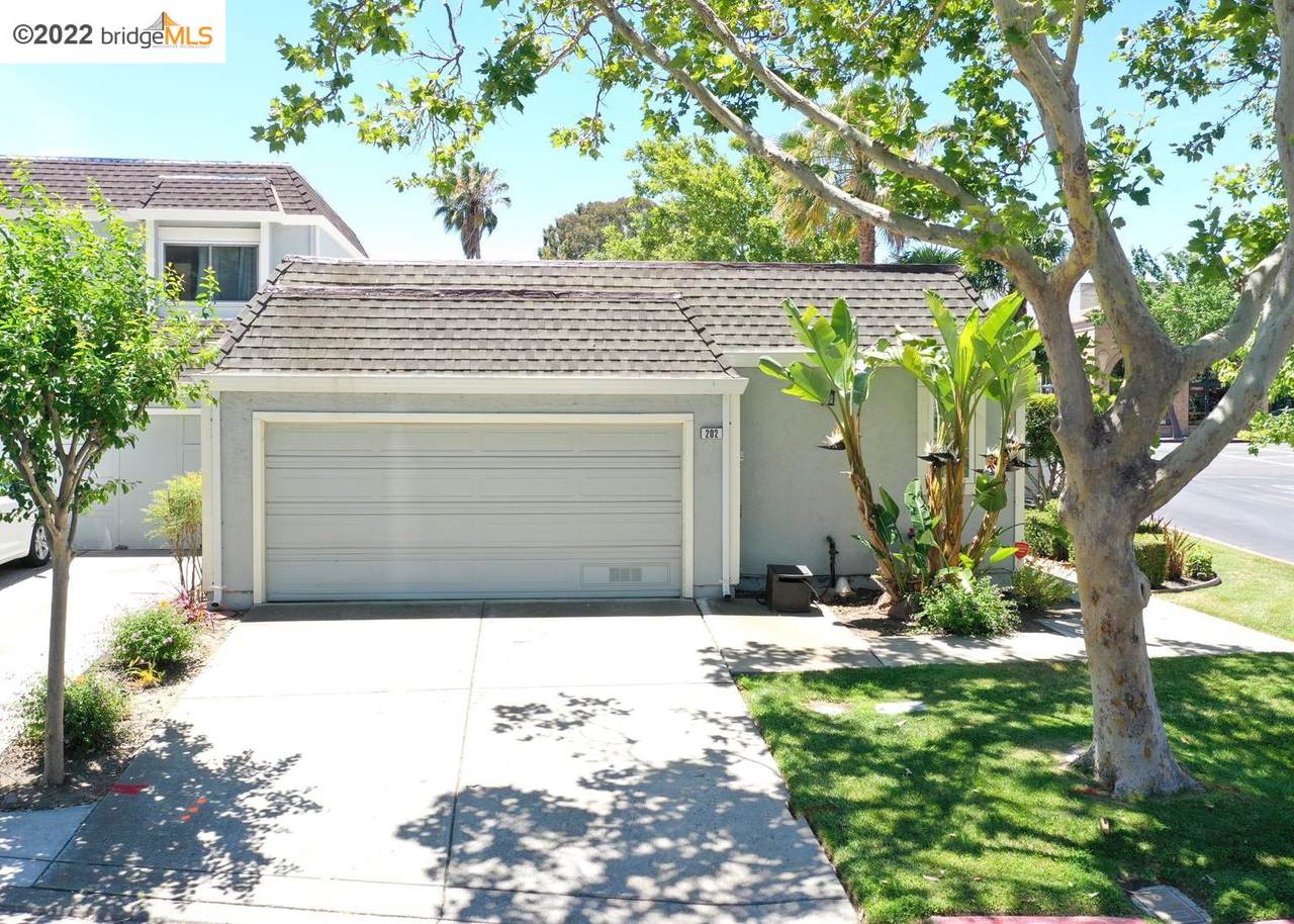 202 Shoreline Dr - Photo 1