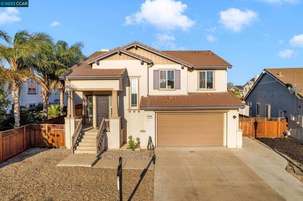 75 Safflower - Photo 1