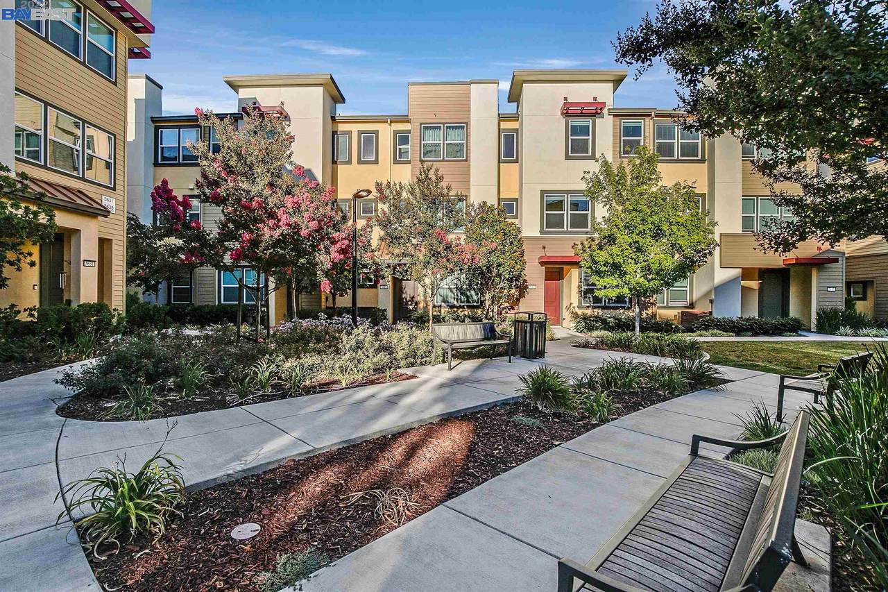5617 Melodia Cir - Photo 1