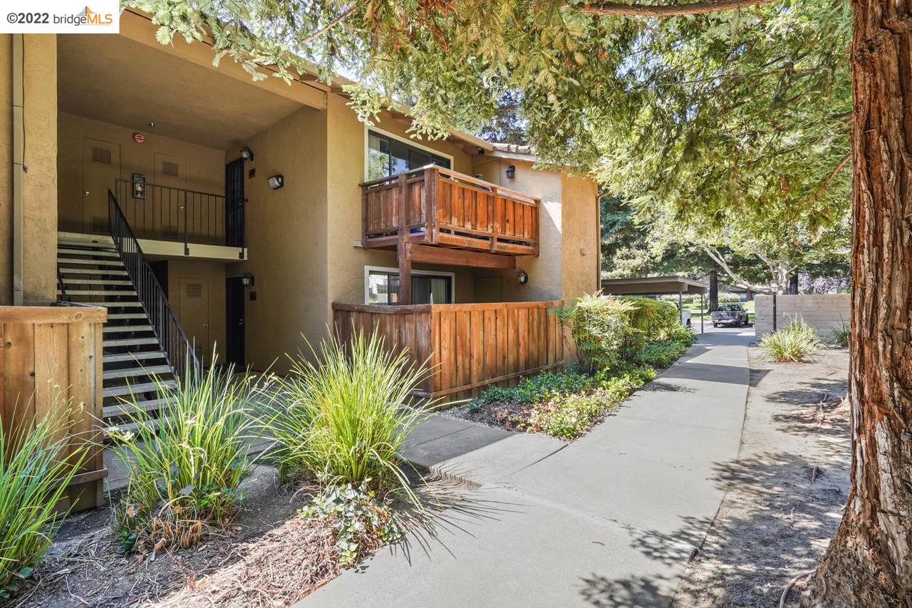 688 Arcadia Drive - Photo 1