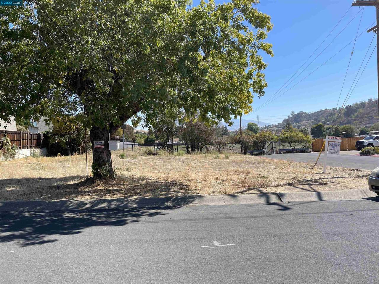 4049 Camino Vinedo - Photo 1