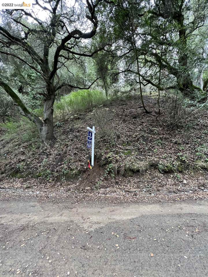 0 Lauriston Ct (Lot 3050) - Photo 1