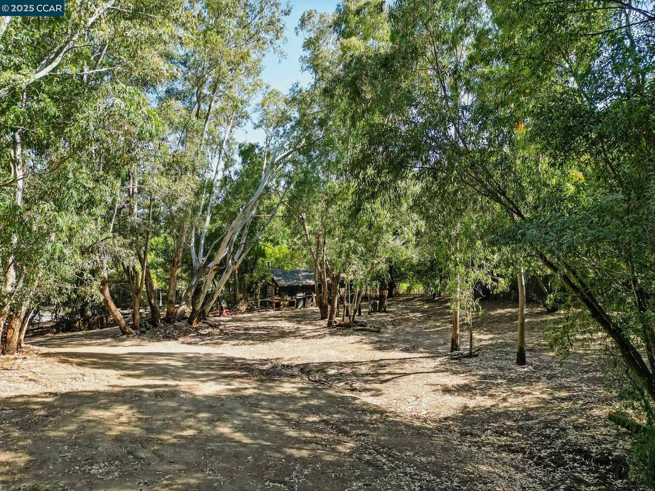 1491 Boulevard Way - Photo 1