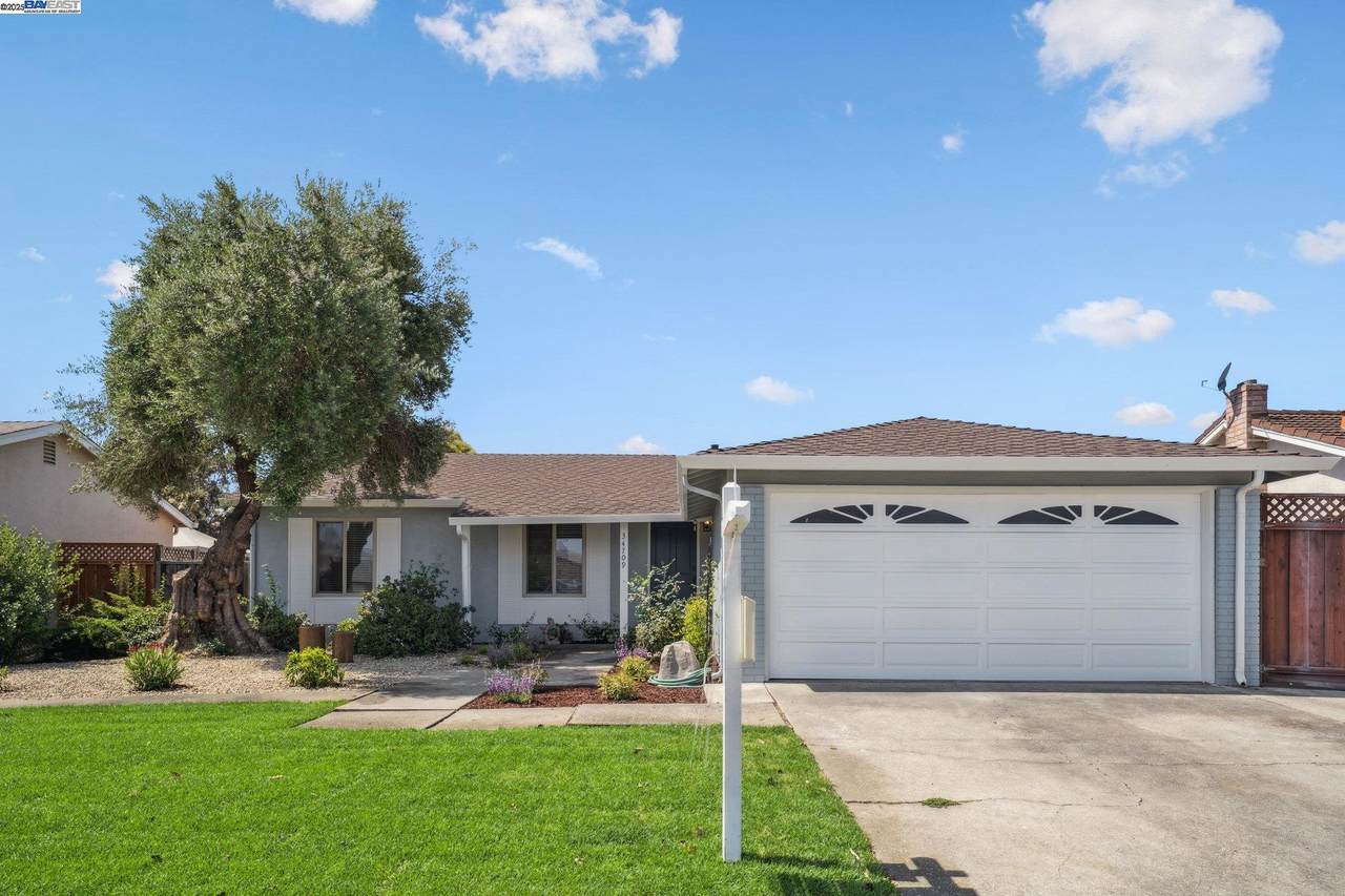 34709 Clover St - Photo 1