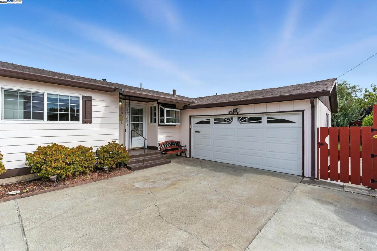 35458 Orleans Dr - Photo 1