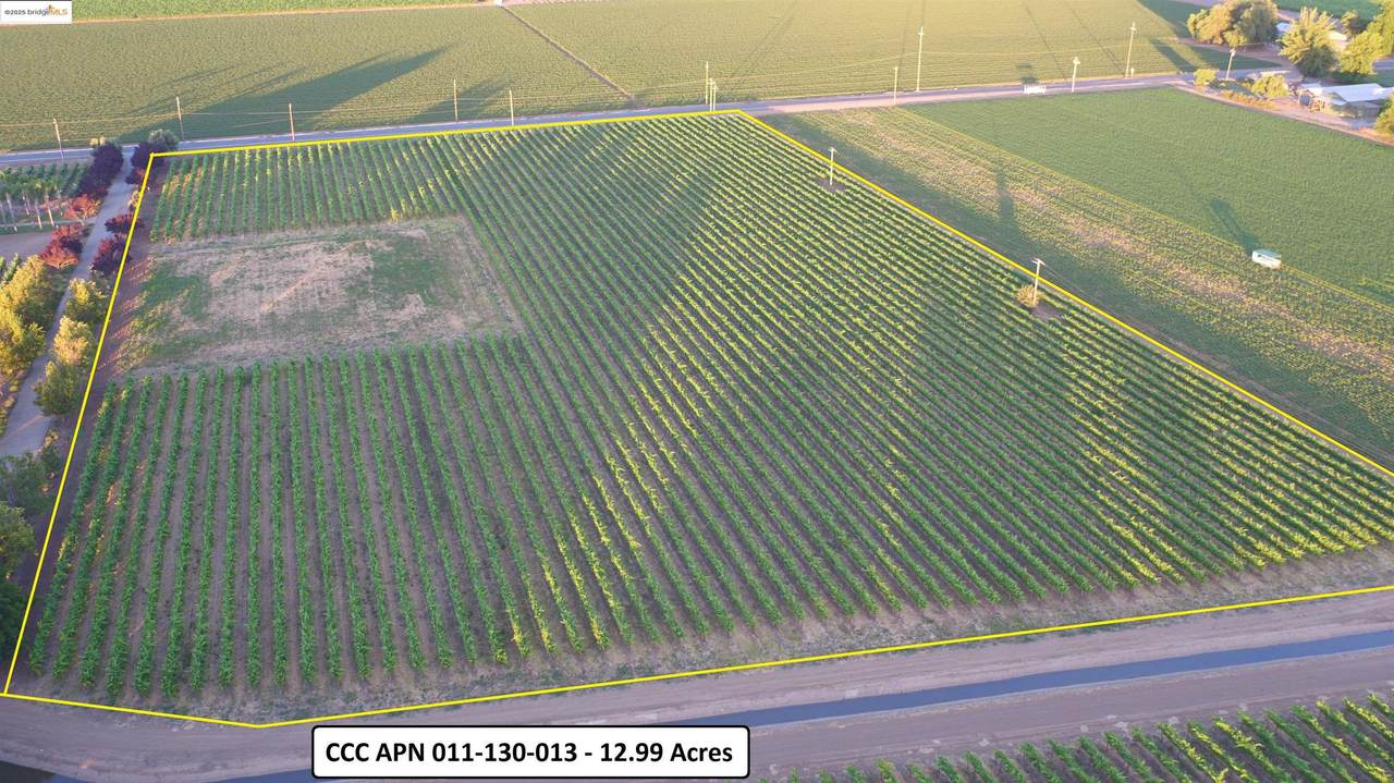 11680 Byron Highway - Photo 1