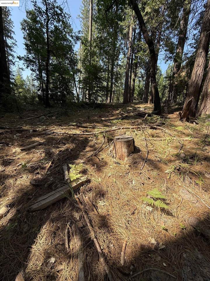 24512 Keltz Mine Rd - Photo 1