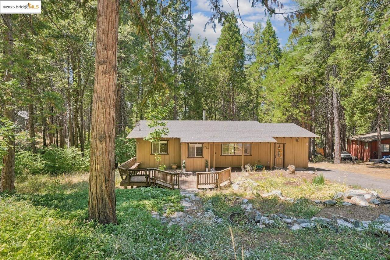 1254 Ponderosa Way - Photo 1