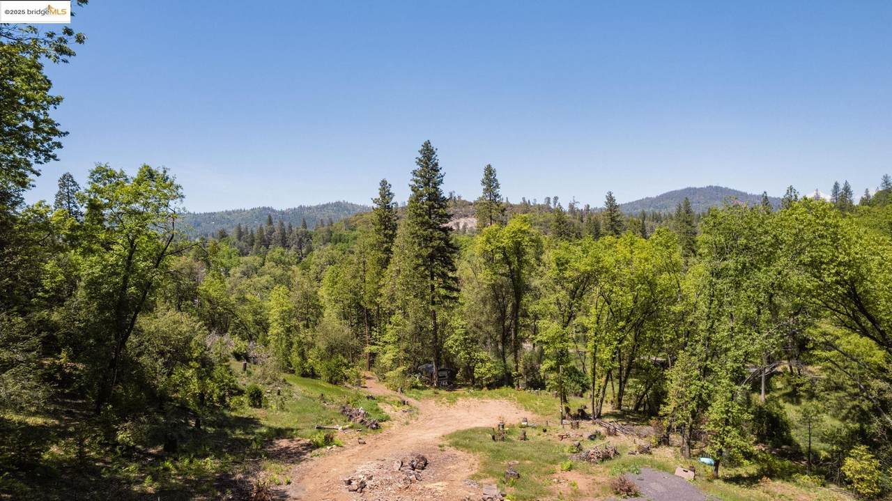 21850 Ferrari Road - Photo 1