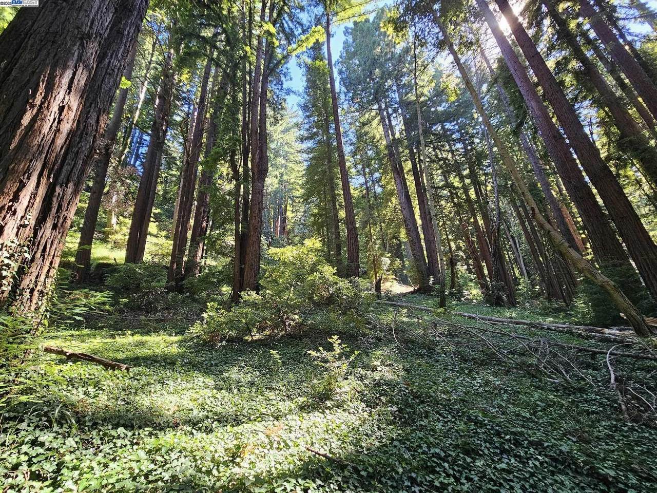 Lot26 Old La Honda Rd - Photo 1