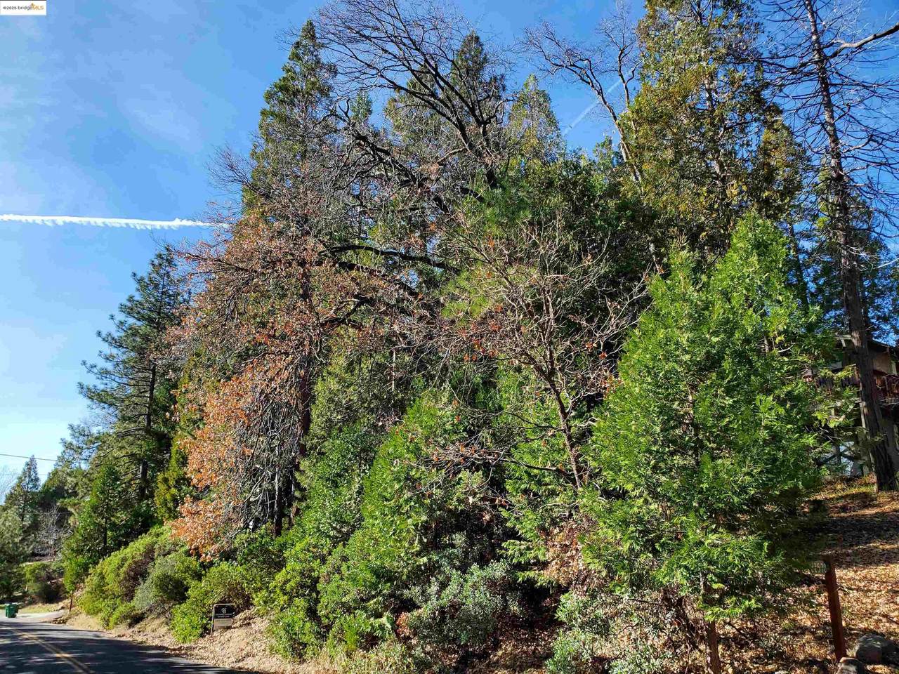 22558 Confidence Road - Photo 1