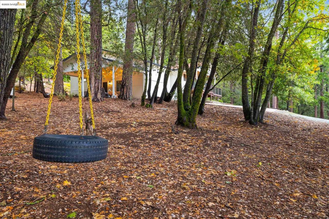 23500 Middle Camp Rd - Photo 1