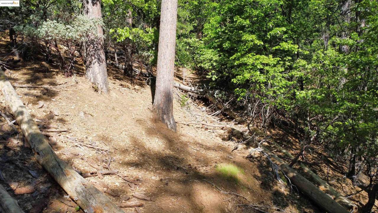 23804 Oxbow Lane - Photo 1