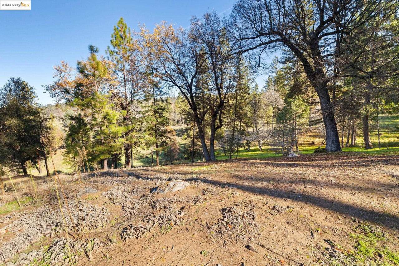 19364 Ferretti Rd - Photo 1