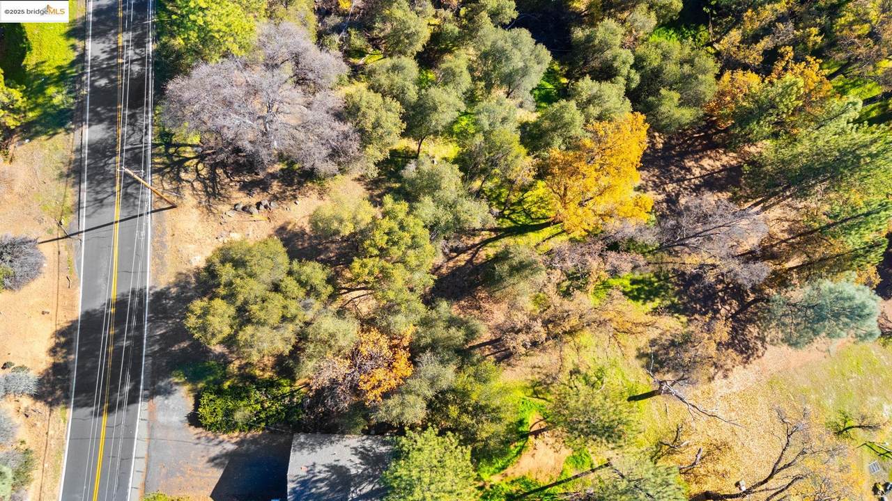 19795 Ferretti Rd - Photo 1