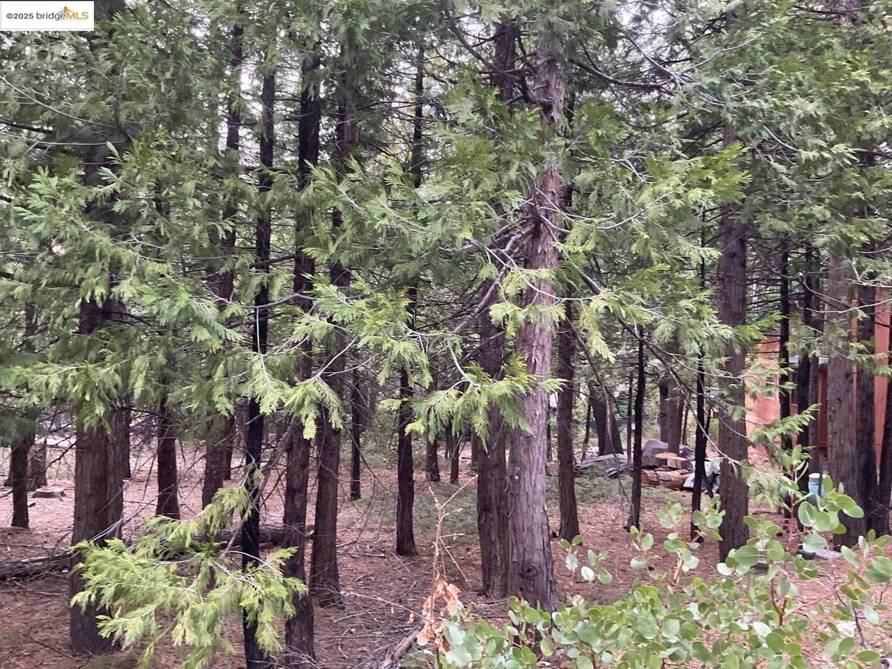 3471 Pocatello - Photo 1