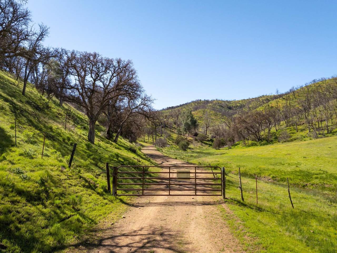 15676 Corral Hollow Rd - Photo 1