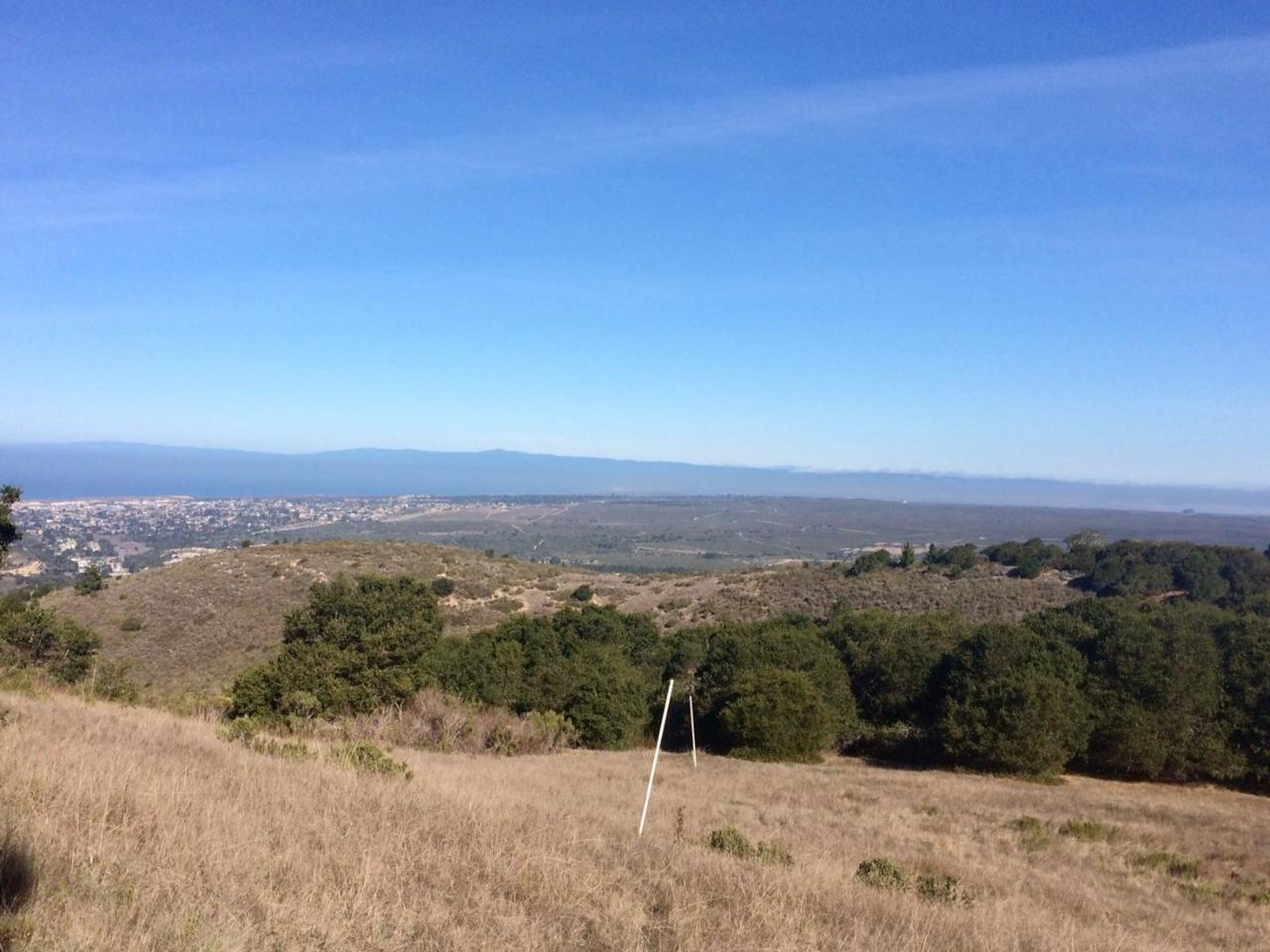 8100 Carina Road - Photo 1