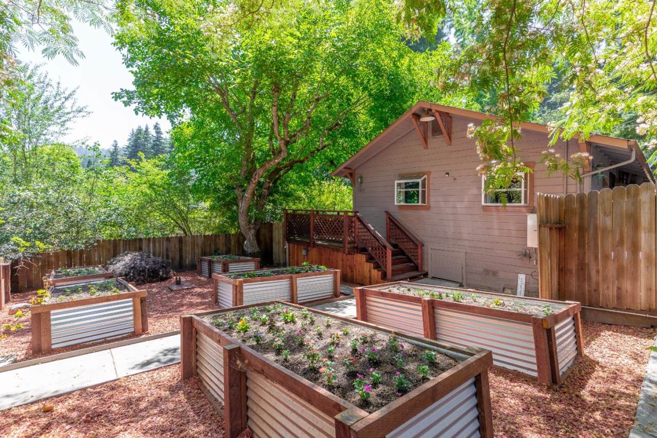 13425 Debby Lane - Photo 1
