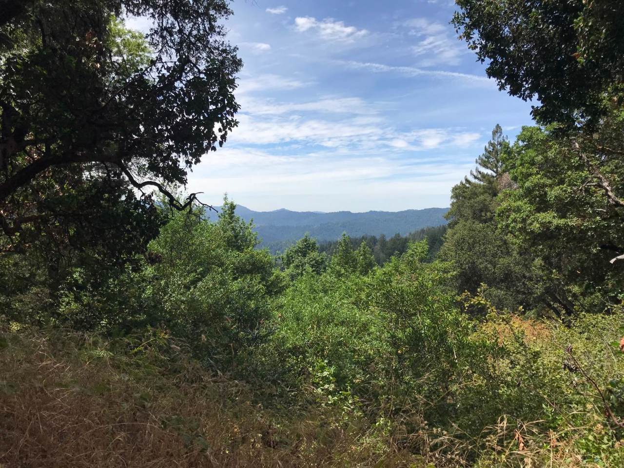 00 Skyview Road - Photo 1