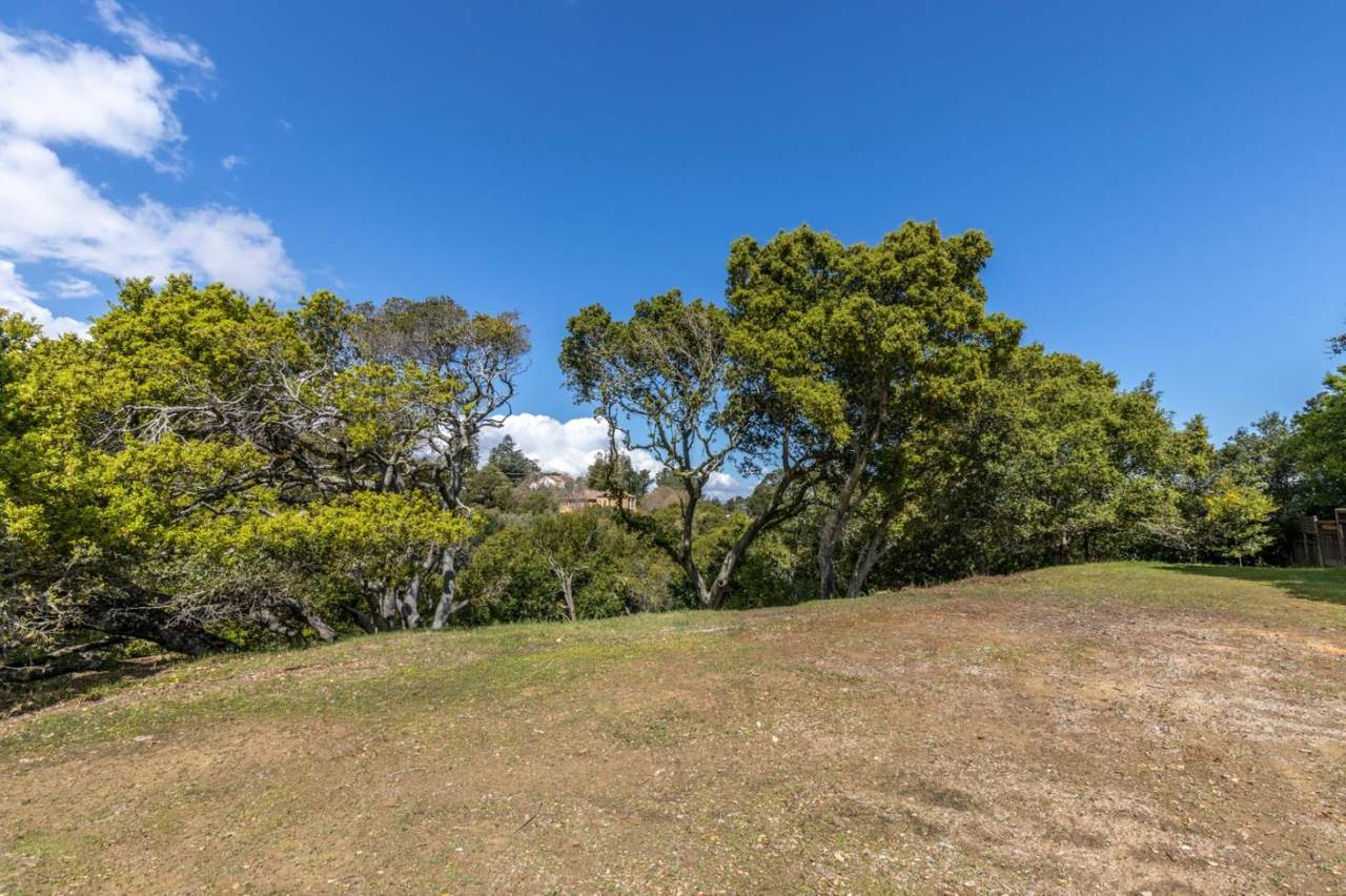 35 Victor Park Lane - Photo 1