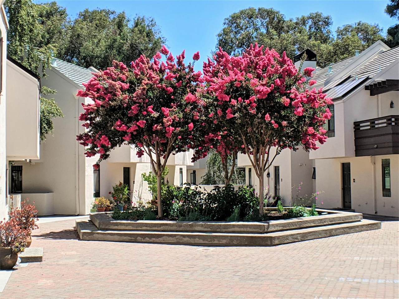 100 El Camino Real - Photo 1