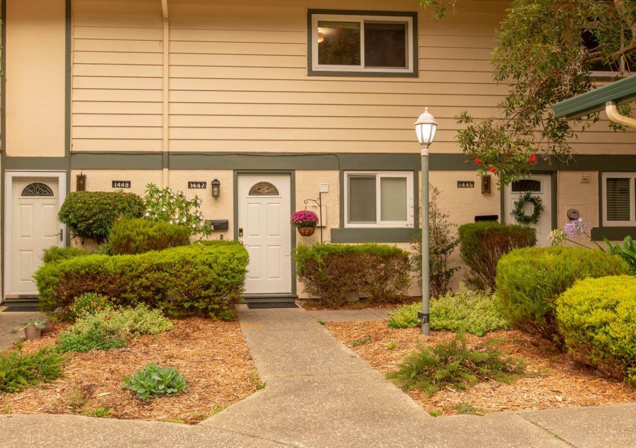 1447 Terra Nova Boulevard - Photo 1