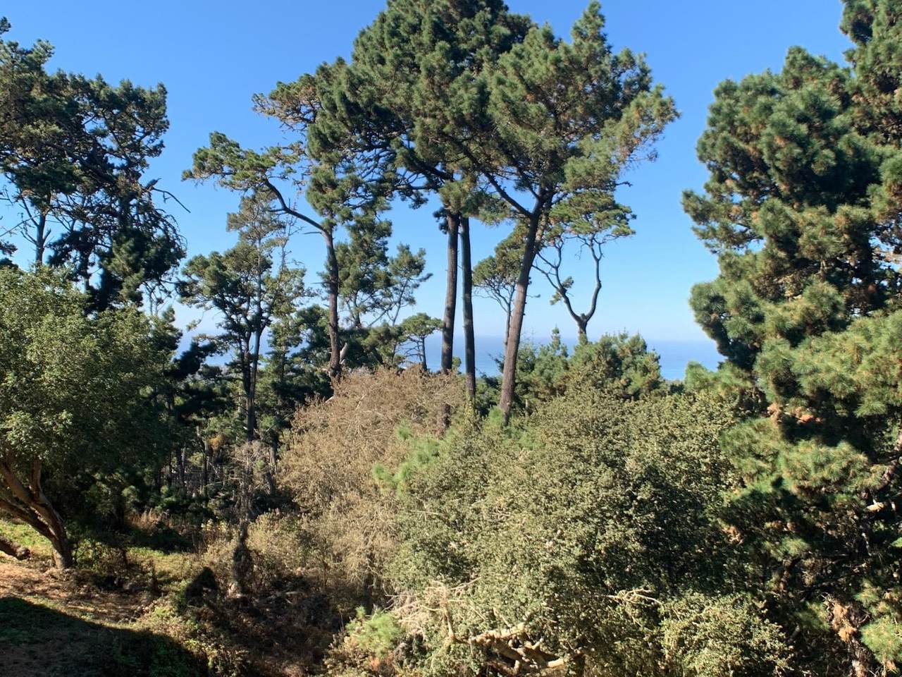 250 Forest Ridge Road - Photo 1