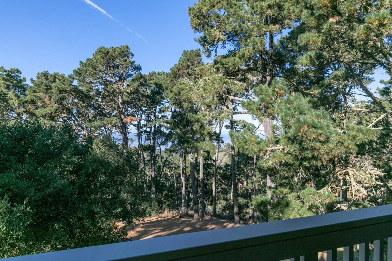 250 Forest Ridge Road - Photo 1